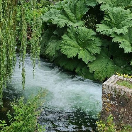 فيلا Millstream House وِنشيستير المظهر الخارجي الصورة